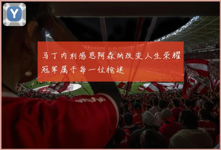 马丁内利感恩阿森纳改变人生荣耀冠军属于每一位枪迷