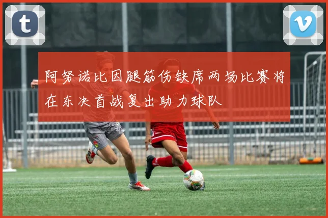 阿努诺比因腿筋伤缺席两场比赛将在东决首战复出助力球队